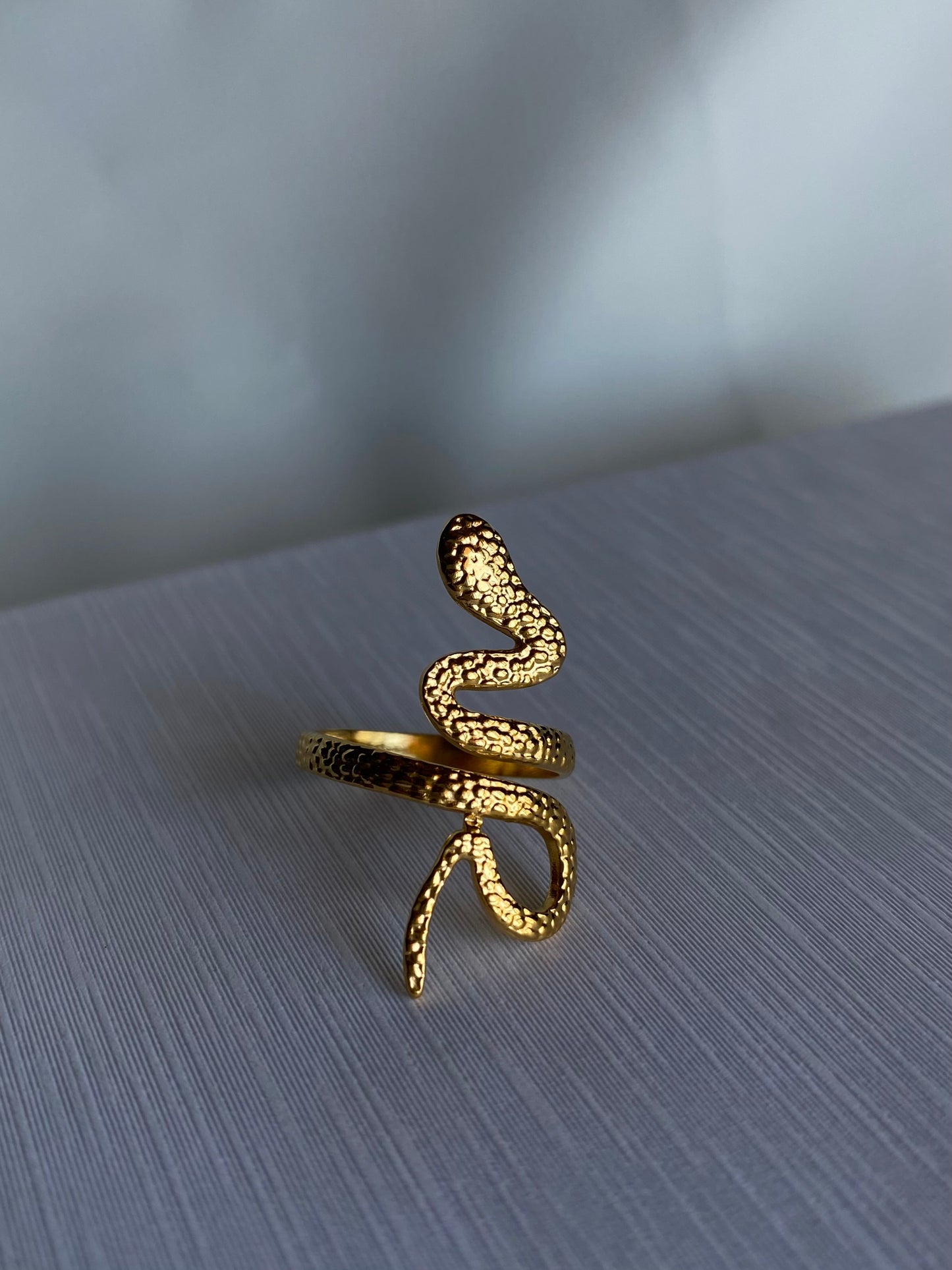 TEXTURE SNAKE RING