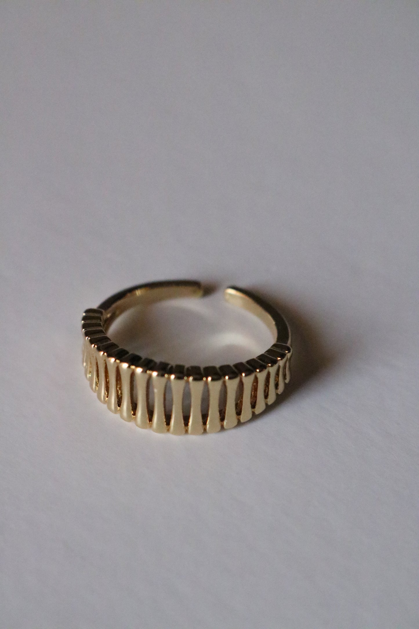 FRISSON RING (free size)