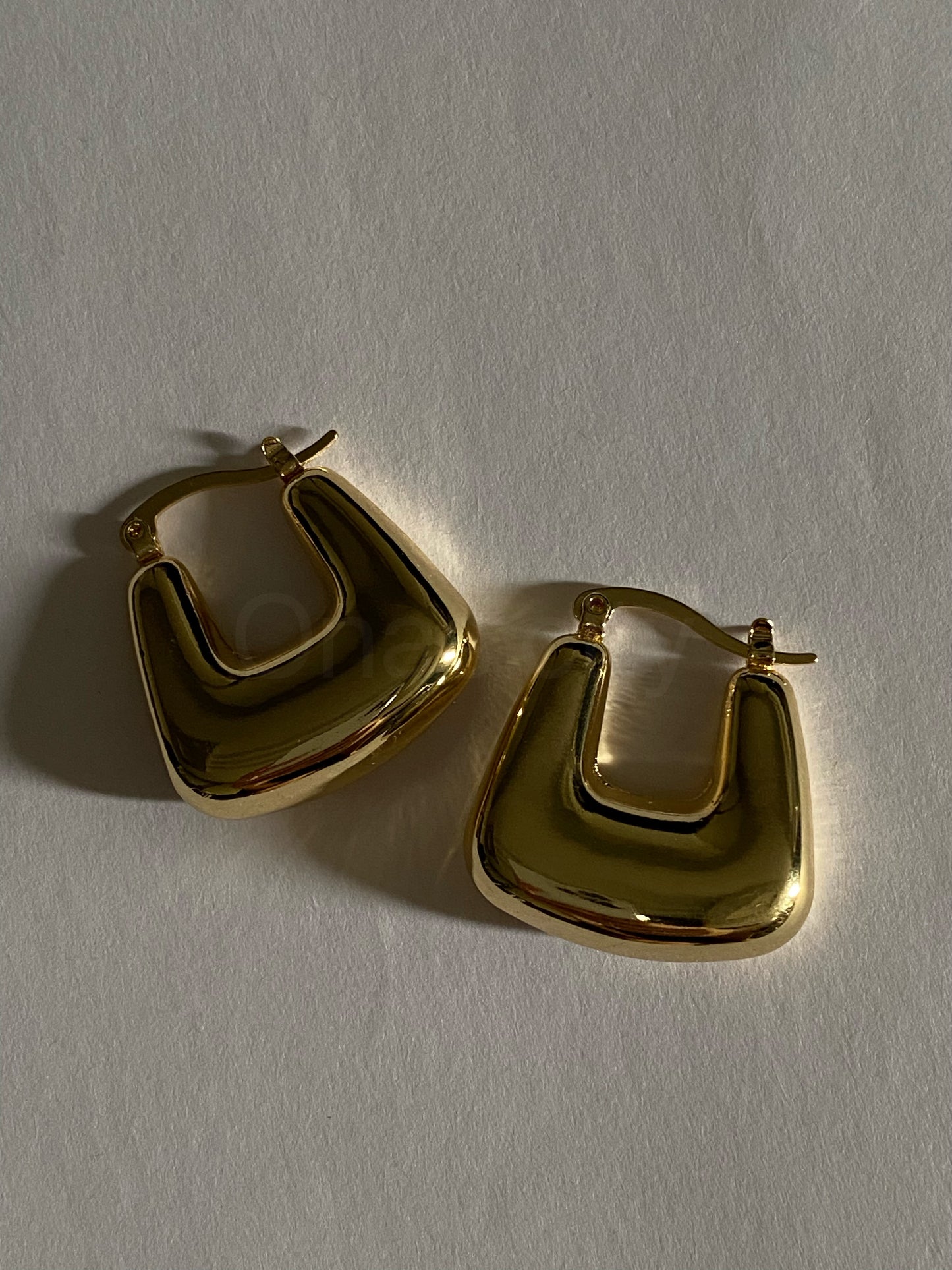 BAG HOOP EARRINGS