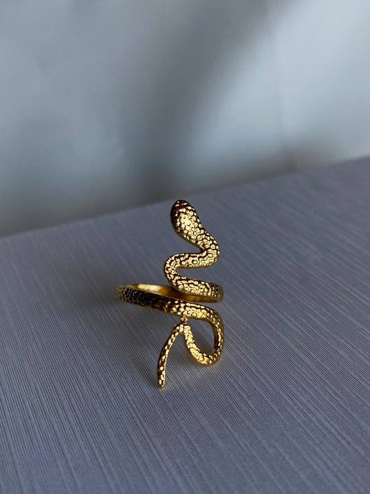 TEXTURE SNAKE RING