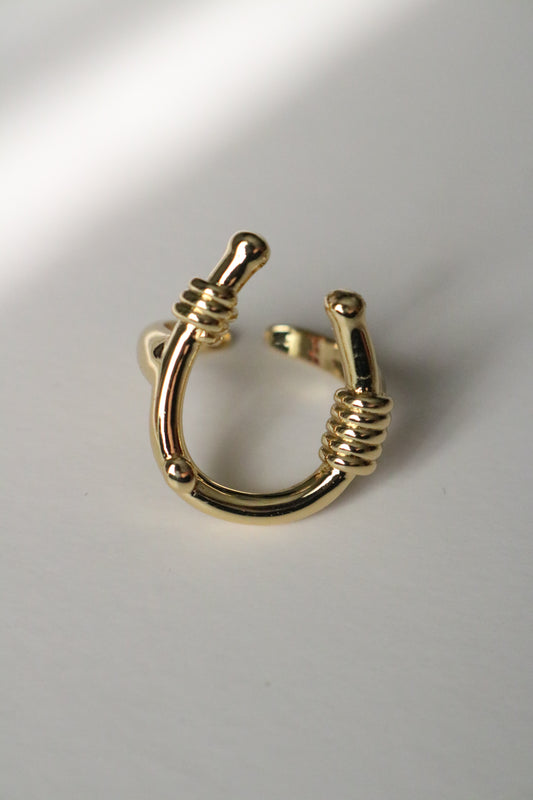 LUCKY RING (Free size)