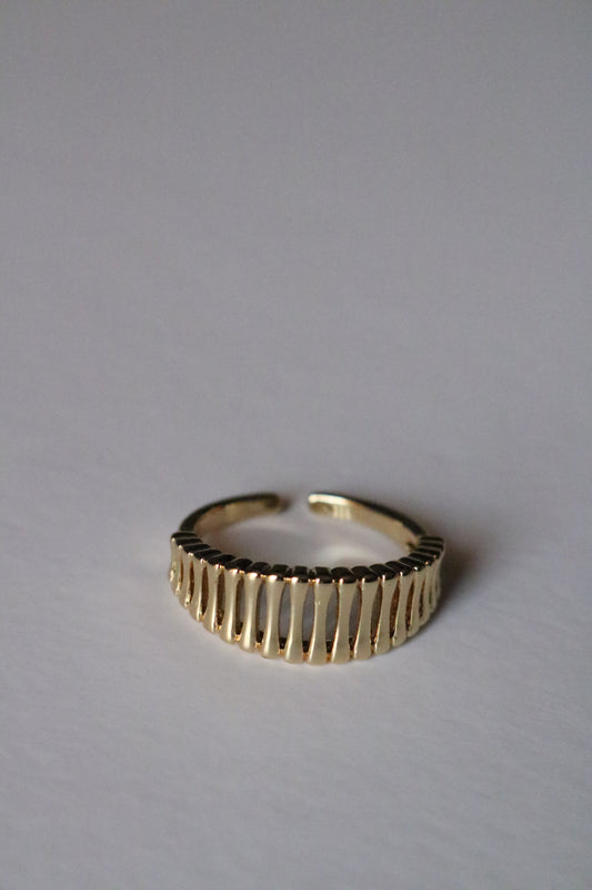 FRISSON RING (free size)